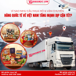 Vì Sao Nhu Cầu Mua & Vận Chuyển Hàng Quốc Tế Về Việt Nam Tăng Cao Dịp Tết?