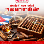 Xì Gà Quốc Tế: Nguồn Gốc, Phân Loại Và Những Điều Cần Biết