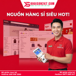 Top 3 Nguồn Hàng Sỉ Từ Mỹ Và Nhật Bản Cho B2B, Dropship
